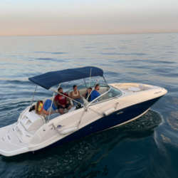 Spain Sea Ray 260 Blue Goose_1.png