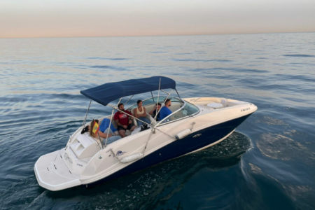 Spain Sea Ray 260 Blue Goose_1.png