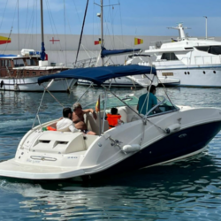 Spain Sea Ray 260 Blue Goose_4.png